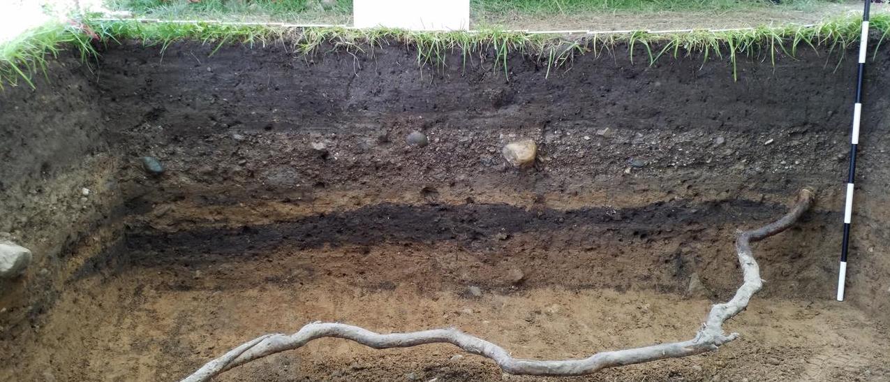 Image of soil stratigraphy from a site on Michigan State University's campus. Image courtesy of the MSU Campus Archaeology Program.